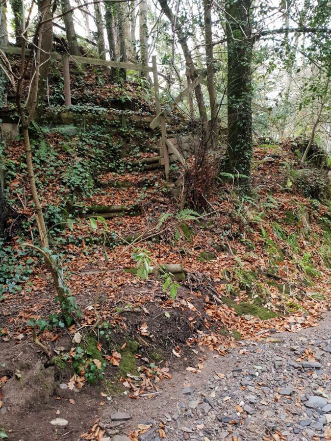 The Millers Cottage Okehampton Exterior foto